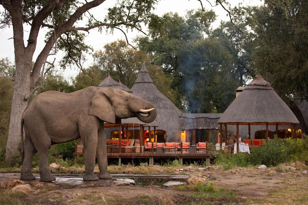 Hoyo Hoyo Safari Lodge Mluwati Concession Bagian luar foto