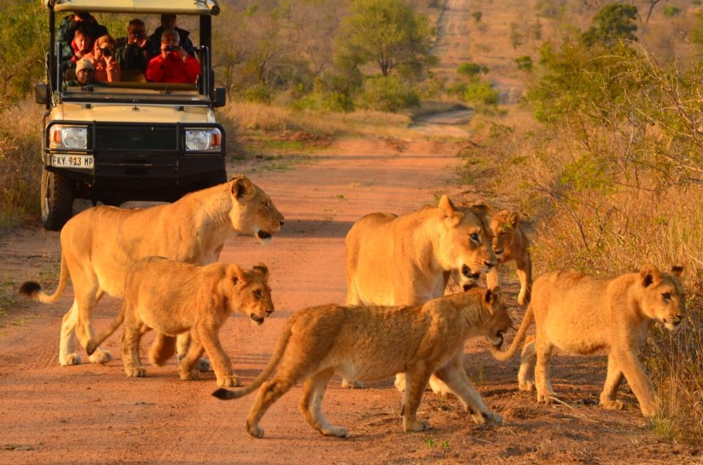 Hoyo Hoyo Safari Lodge Mluwati Concession Bagian luar foto