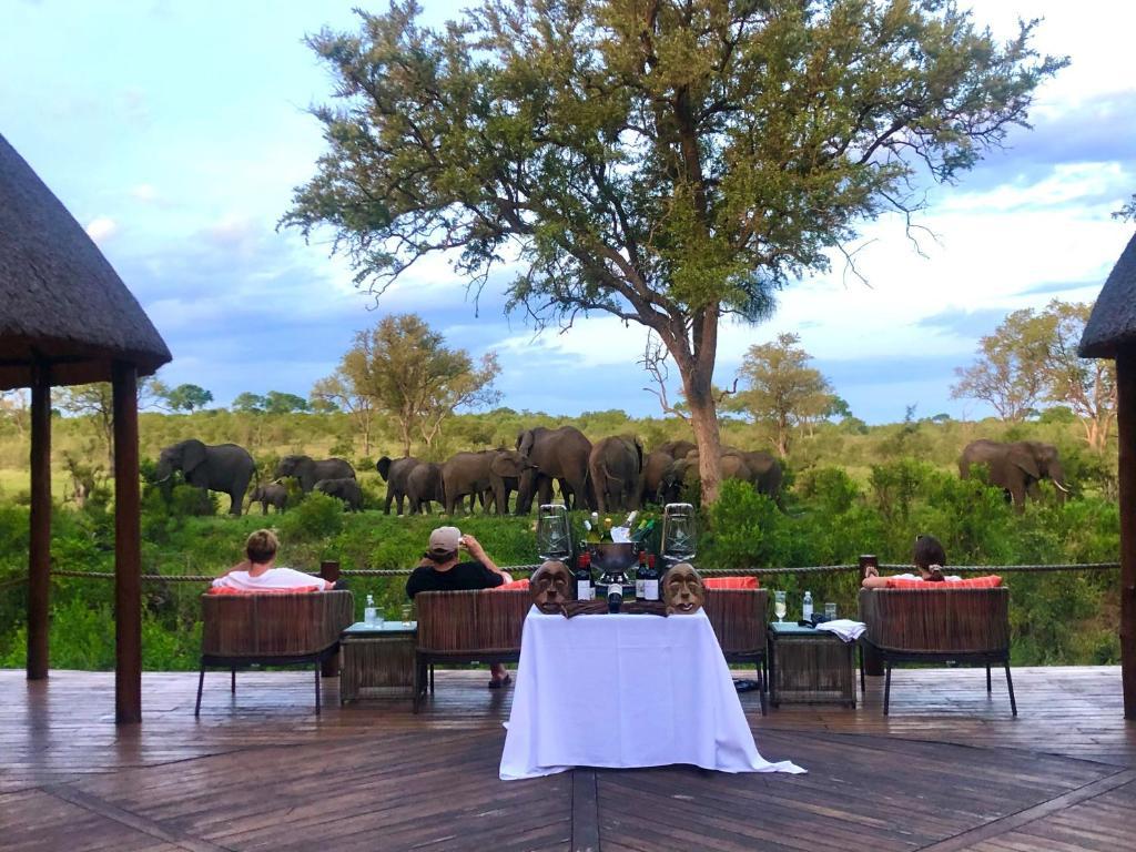 Hoyo Hoyo Safari Lodge Mluwati Concession Bagian luar foto